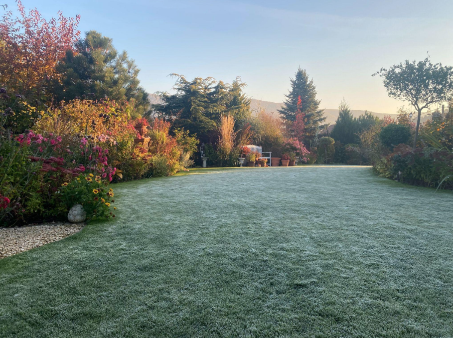 Miért fontos az őszi gyepápolás? - Kihagyhatatlan teendők a tél előtt