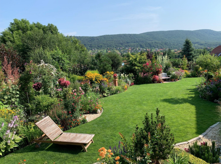 Egészséges, erős gyep kialakításának lépései