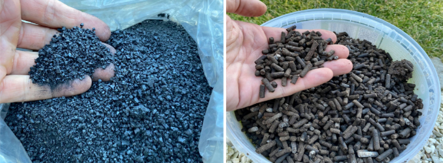 komposztált marhatrágya