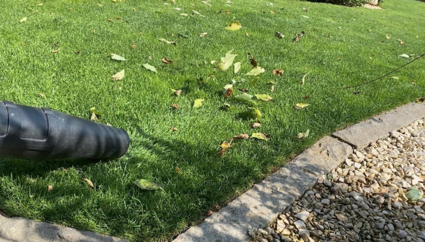 Nyárvégi gyepápolás - Mire figyeljünk ősszel a pázsit ápolása során?