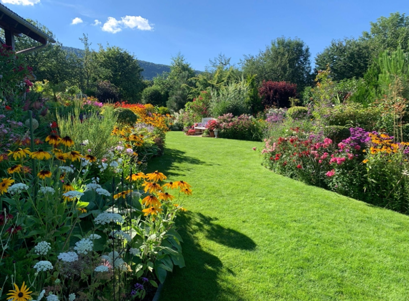 Tavaszi gyepindítás fontos lépései