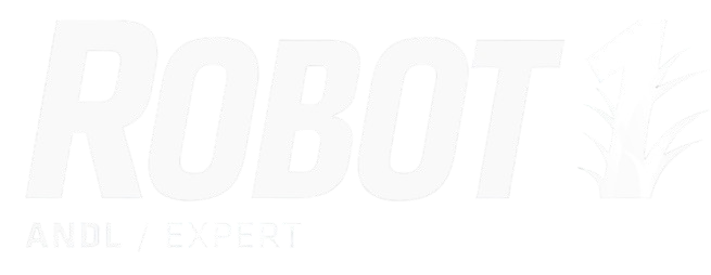 A céged neve legyen és néhány kulcsszó